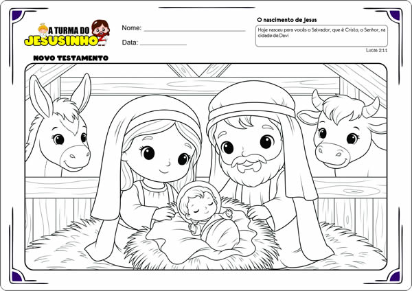 Imagem 8